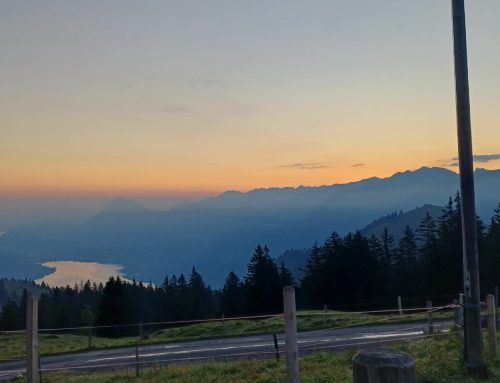 Damenriege – Wanderung um den Giswilerstock 23./24. August 2025